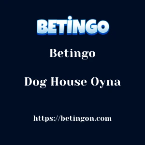 Betingo Dog House Oyna